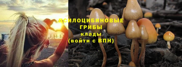 ПСИЛОЦИБИНОВЫЕ ГРИБЫ Алзамай