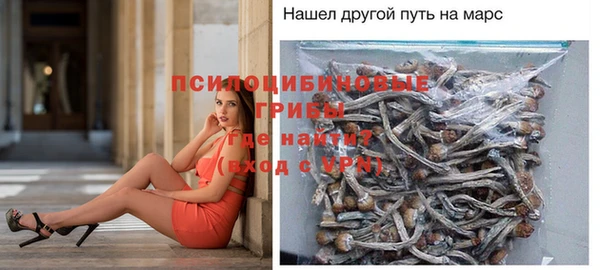 герыч Алексин