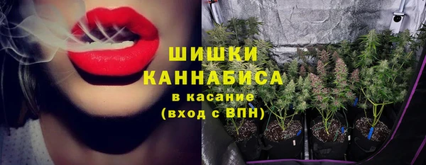 ПСИЛОЦИБИНОВЫЕ ГРИБЫ Алзамай